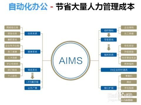 企業管理成功寶典 打造高效組織的核心法則